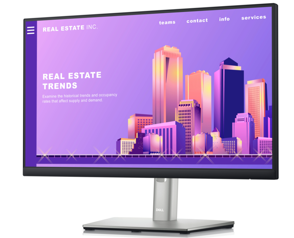 The Dell professional series P2222H - 22 inch Business monitors